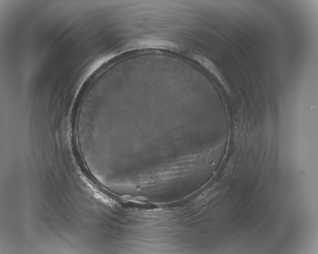 X0000078871024200611271255