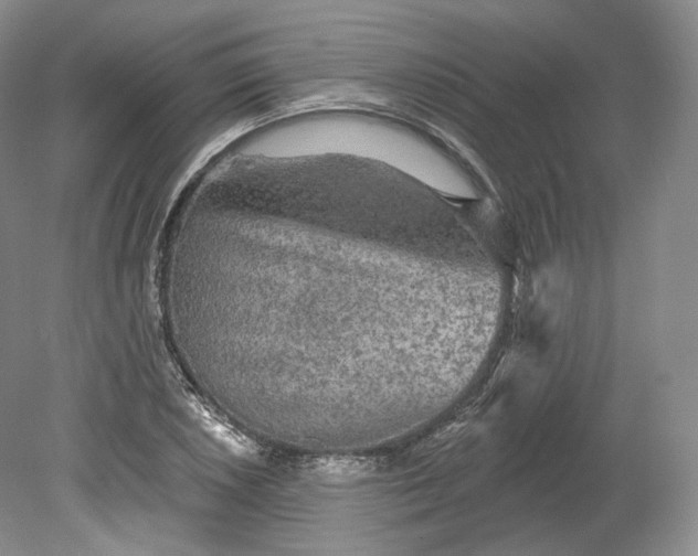 X0000078871026200611271255