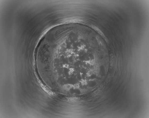 X0000078871031200611271255