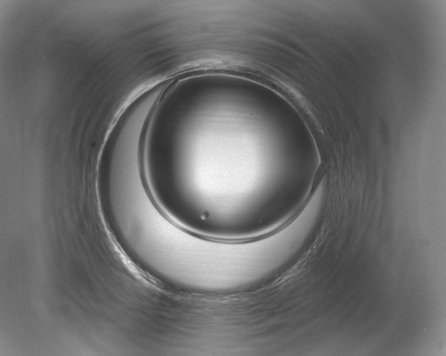 X0000078871034200611271255
