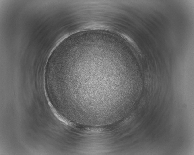 X0000078871039200611271256