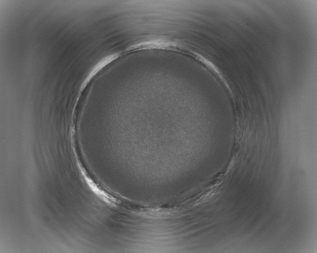 X0000078871042200611271256