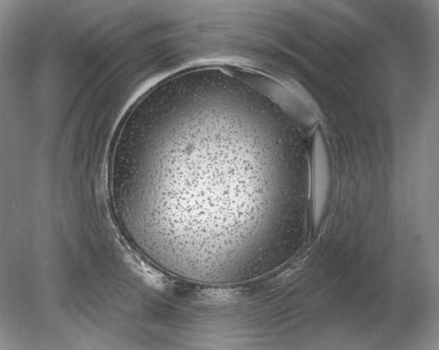 X0000078871044200611271256