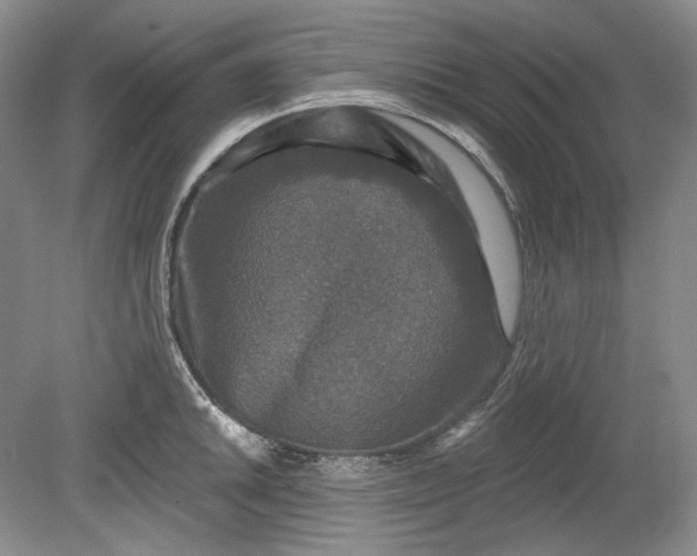 X0000078871046200611271256
