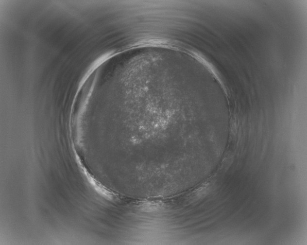 X0000078871050200611271256