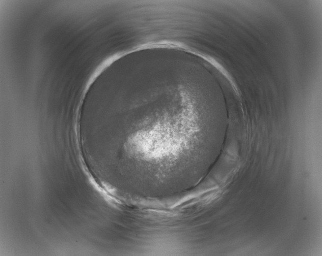 X0000078871054200611271256