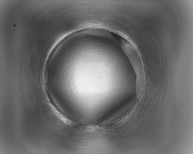 X0000078871056200611271256