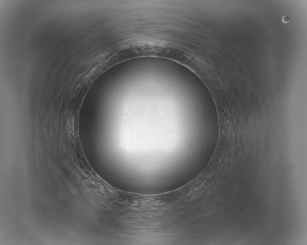 X0000078871061200611271255