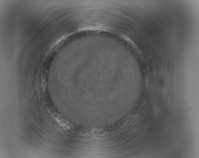 X0000078871064200611271255