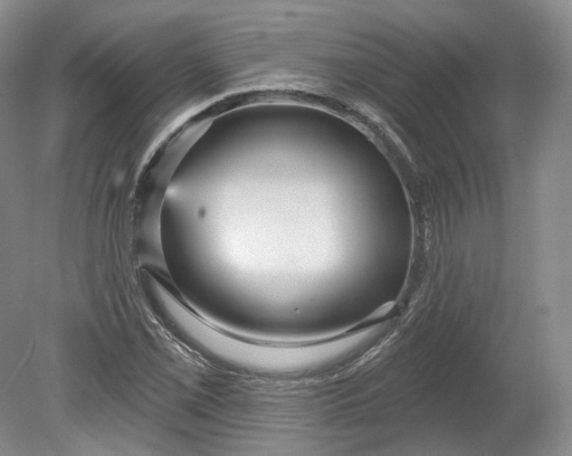 X0000078871069200611271255