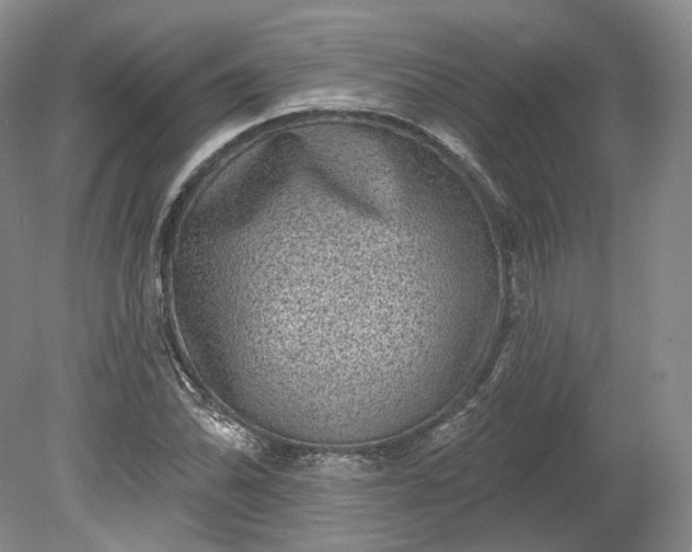X0000078871070200611271255