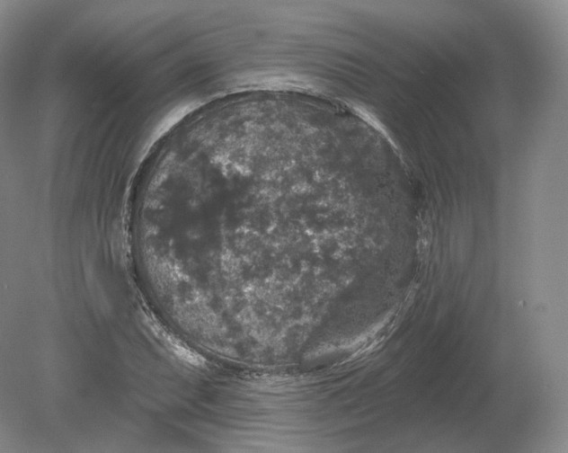 X0000078871071200611271255