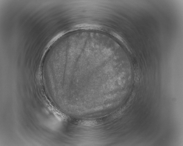 X0000078871074200611271255