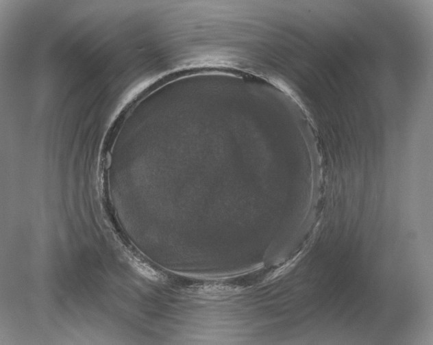 X0000078871077200611271255