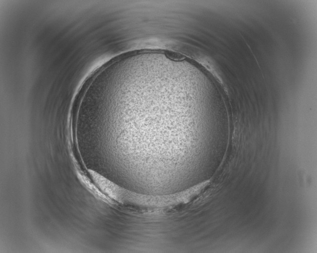 X0000078871080200611271255