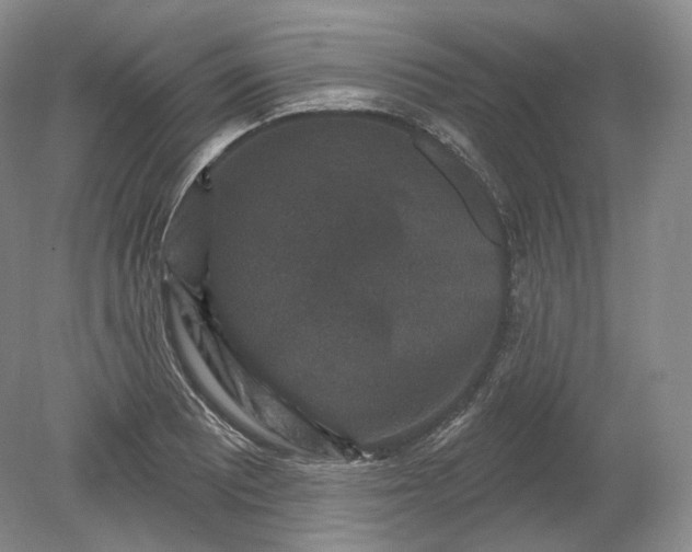 X0000078871081200611271255
