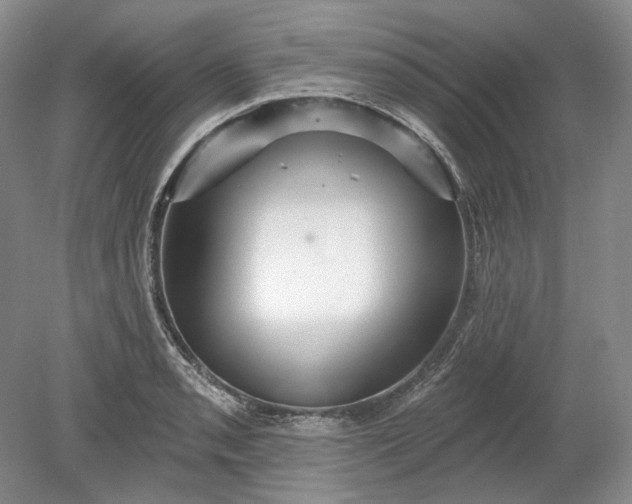 X0000078871085200611271255