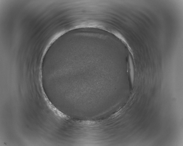 X0000078871088200611271254
