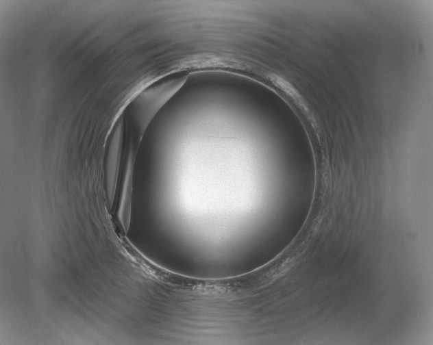 X0000078871089200611271254