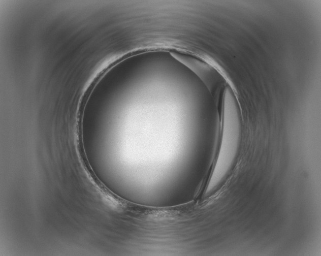 X0000078871093200611271254
