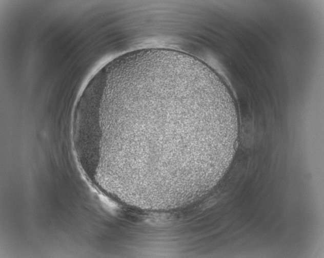 X0000078871096200611271254