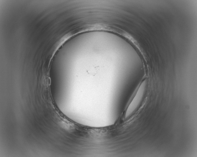 X0000078871097200611271254