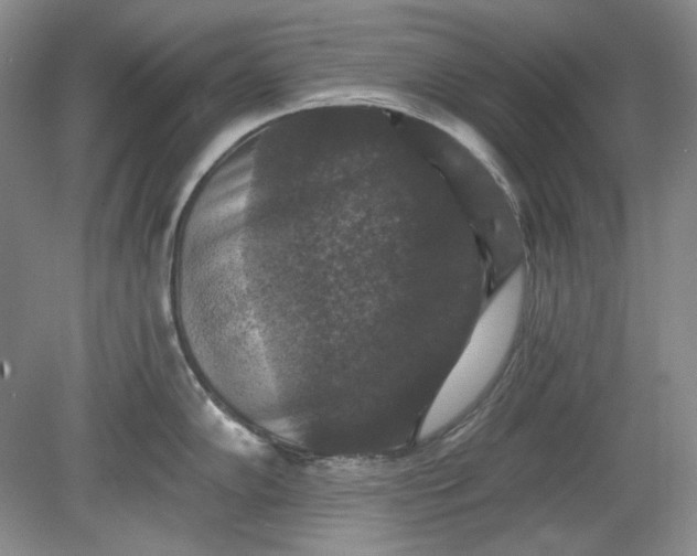 X0000078871102200611271254