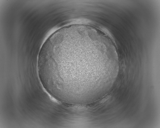 X0000078871103200611271254