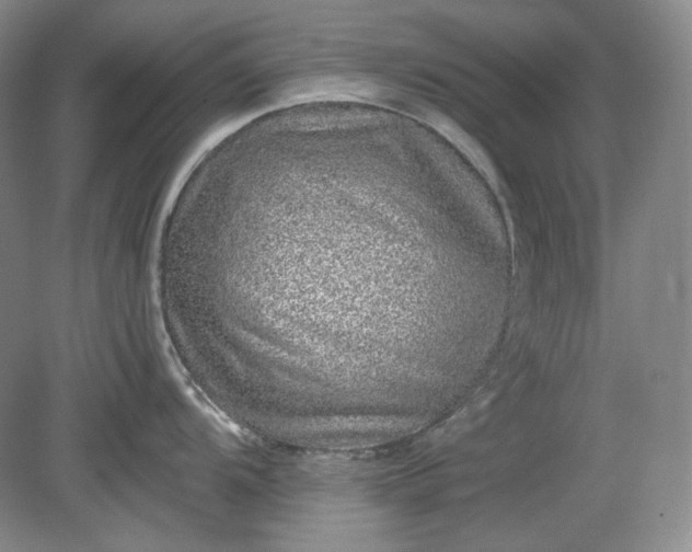 X0000078871104200611271254