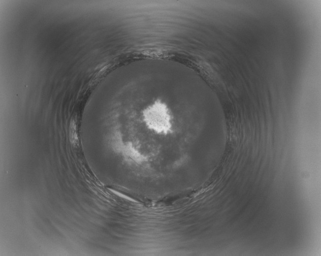X0000078871106200611271253