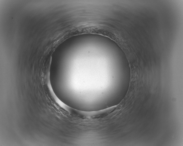 X0000078871109200611271253