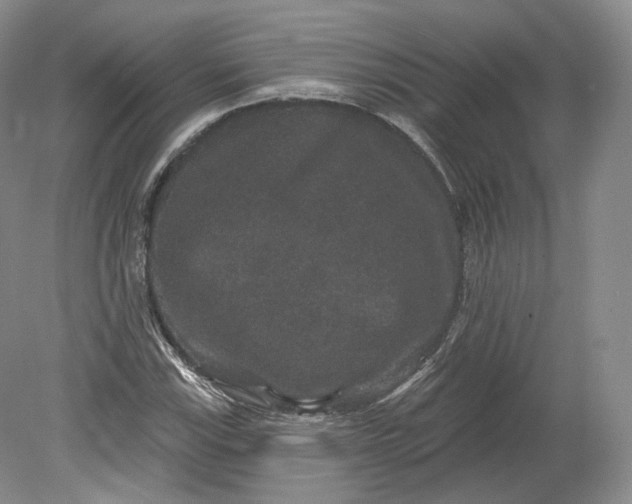 X0000078871115200611271254