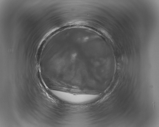 X0000078871117200611271254
