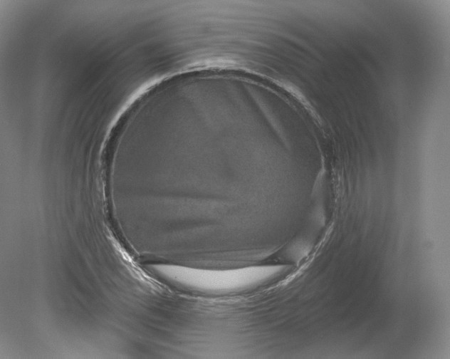 X0000078871118200611271254