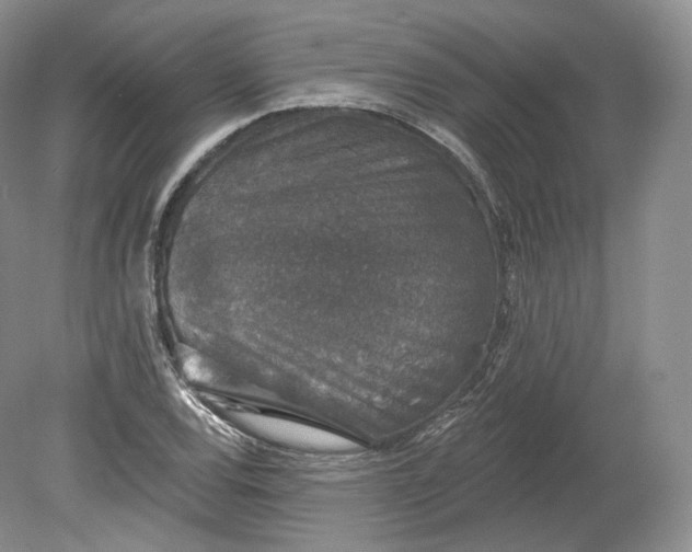 X0000078871120200611271254