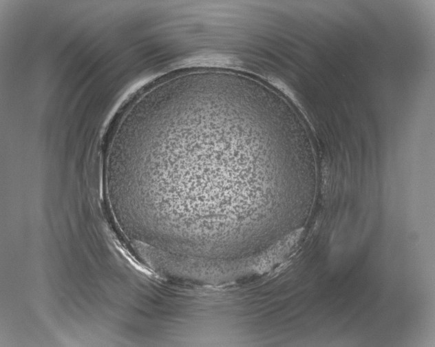 X0000078871123200611271254