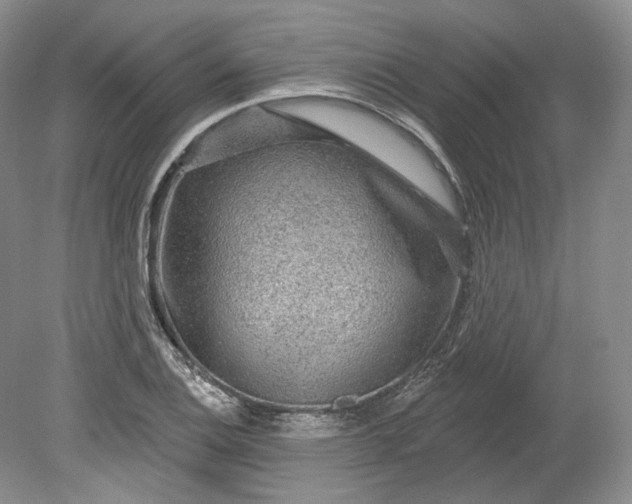 X0000078871124200611271254