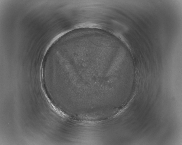 X0000078871125200611271254