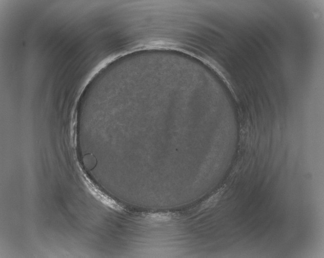 X0000078871126200611271254