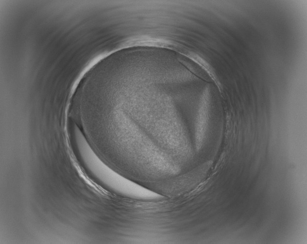 X0000078871128200611271254