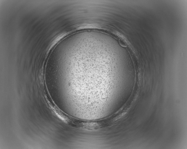 X0000078871129200611271254
