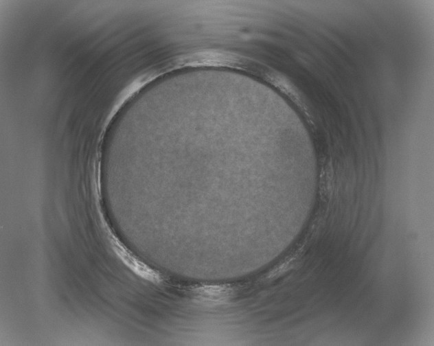 X0000078871130200611271254