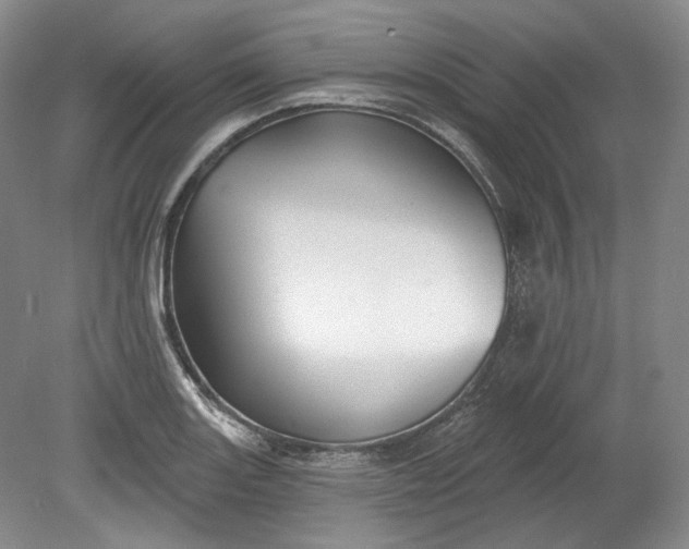 X0000078871131200611271254