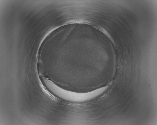 X0000078871132200611271254