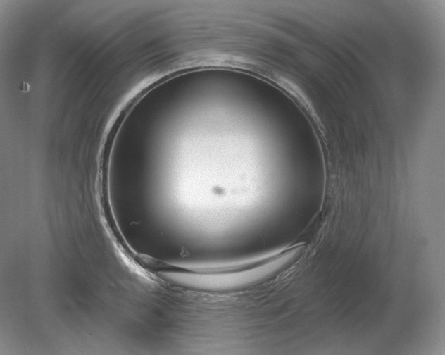X0000078871136200611271254