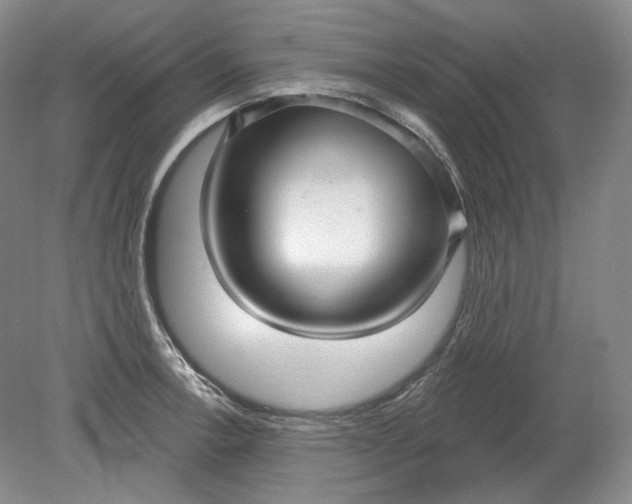 X0000078871138200611271254