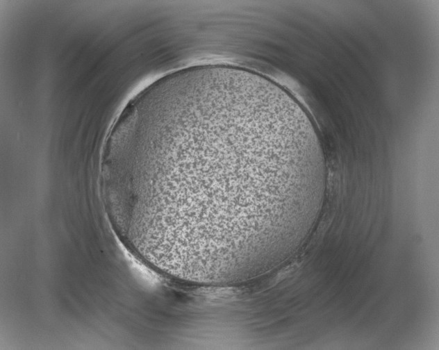 X0000078871143200611271254