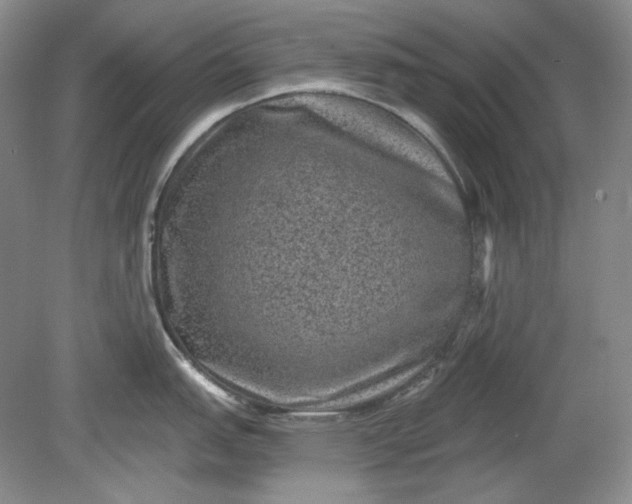 X0000078871151200611271254
