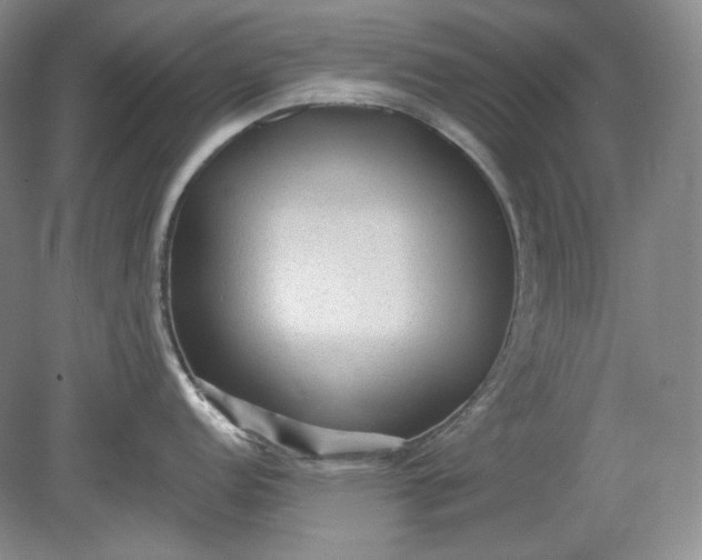X0000078871152200611271254