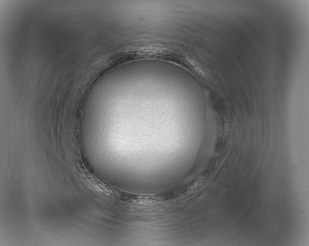 X0000078871153200611271253